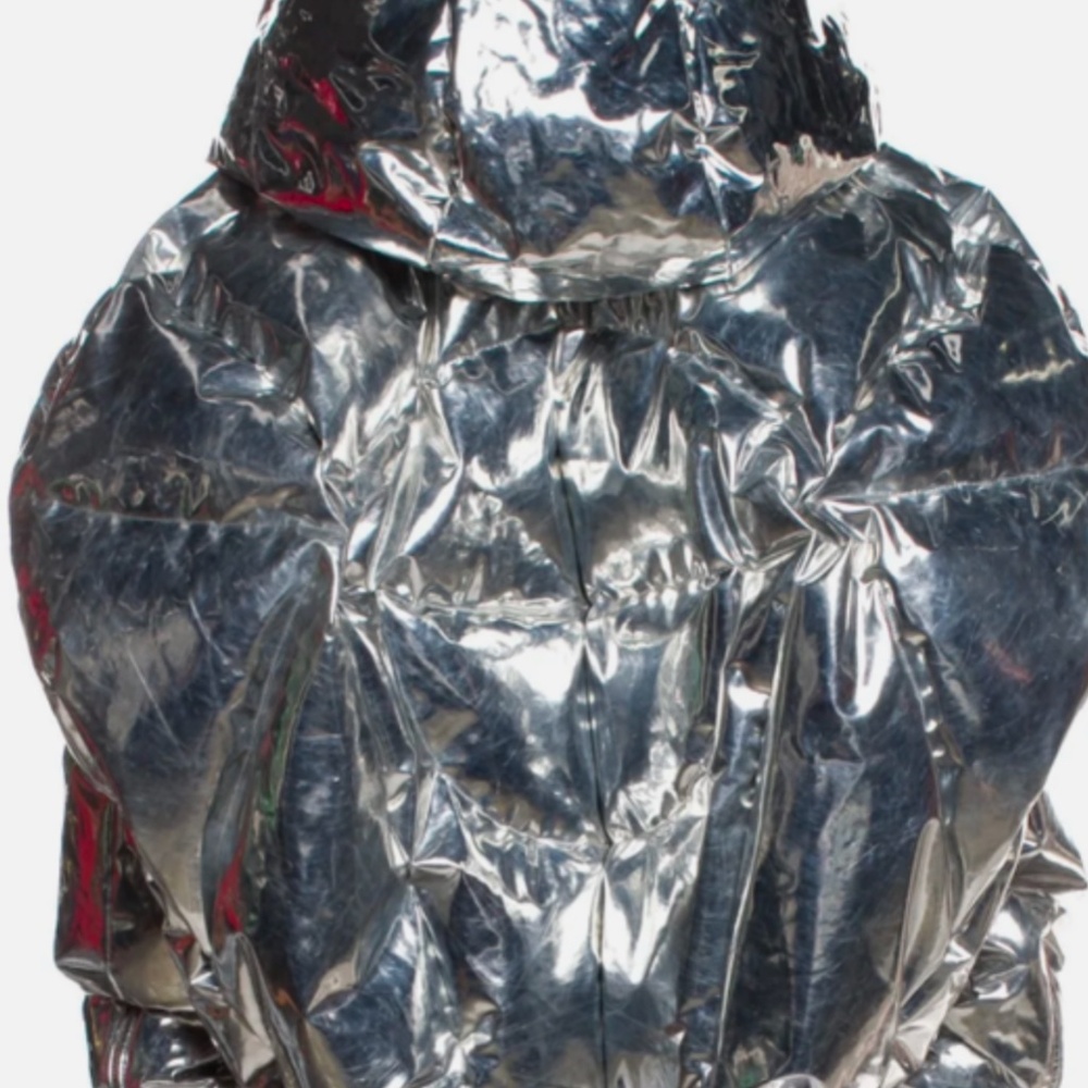 Chen Peng Silver Down Puffer Jacket - image 4